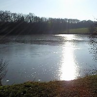 A.A.P.P.M.A. > Les Pêcheurs des Etangs Pouancéens
