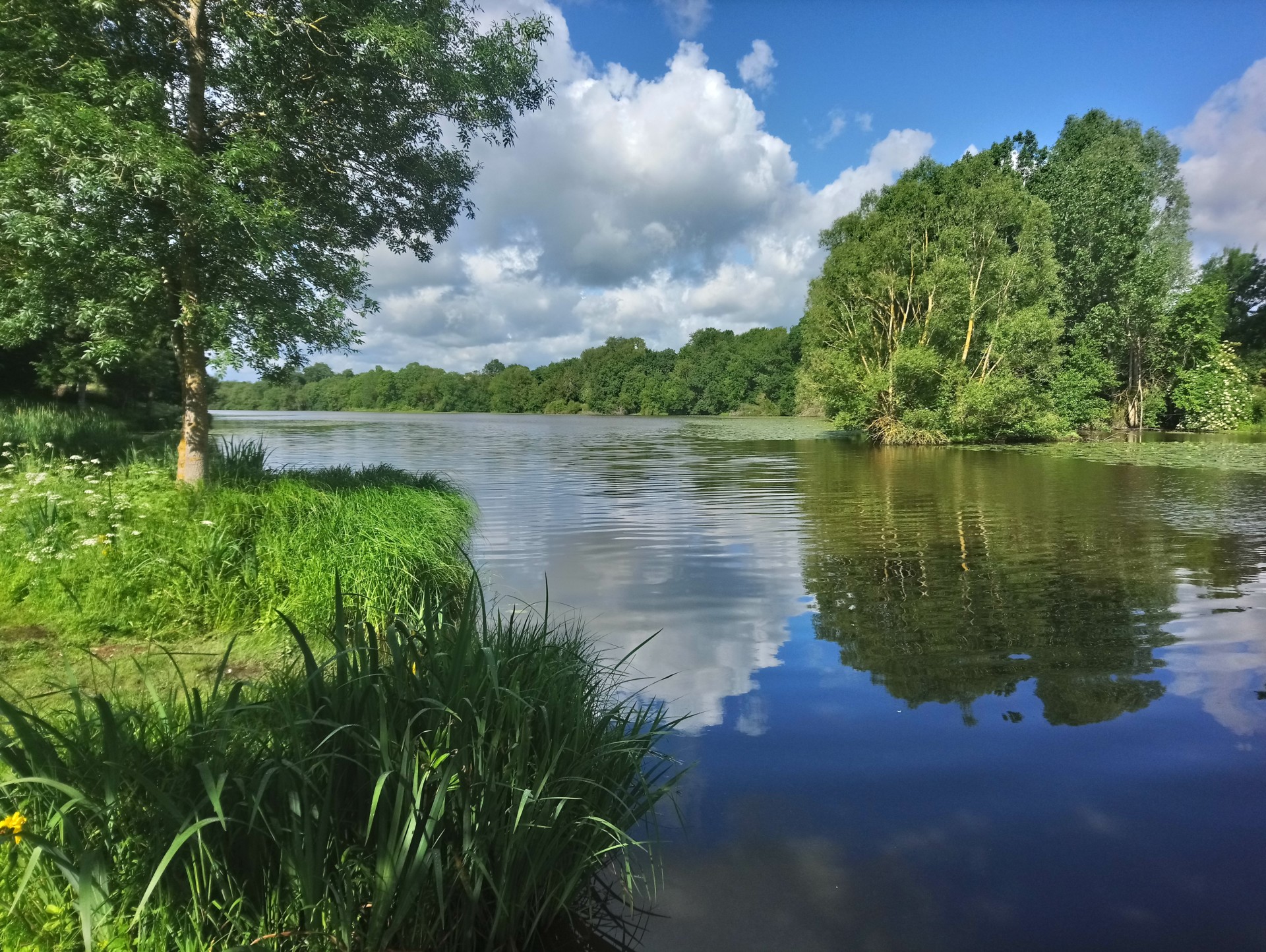 Pêche à l'aimant – réserves de pêche  Fédération de Maine-et-Loire pour la  Pêche et la Protection du Milieu Aquatique