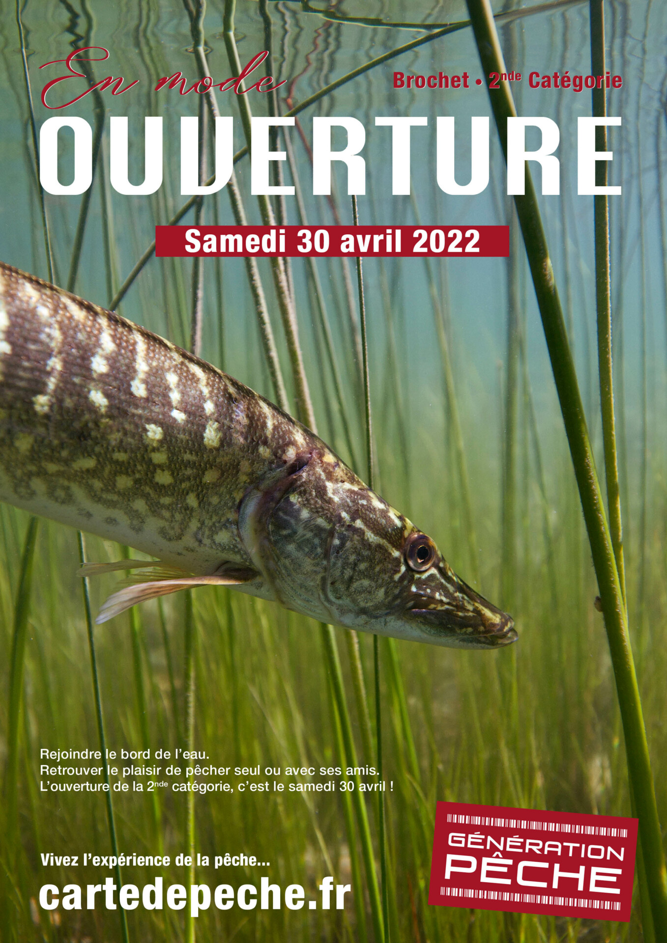 En Sarthe, l'ouverture de la pêche aux carnassiers, c'est ce week-end du  1er mai